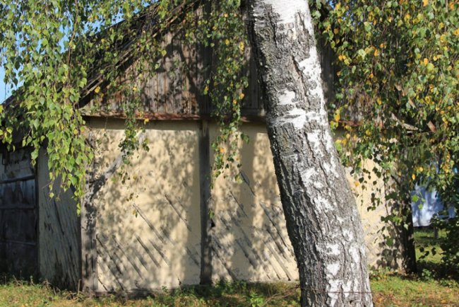 Луцький фотограф поділився атмосферними осінніми світлинами. ФОТО 