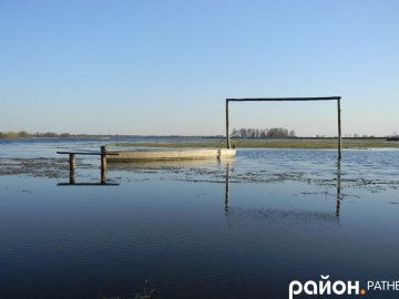 Поля під водою та білосніжні лебеді: у волинському селі розлилася річка. ФОТО