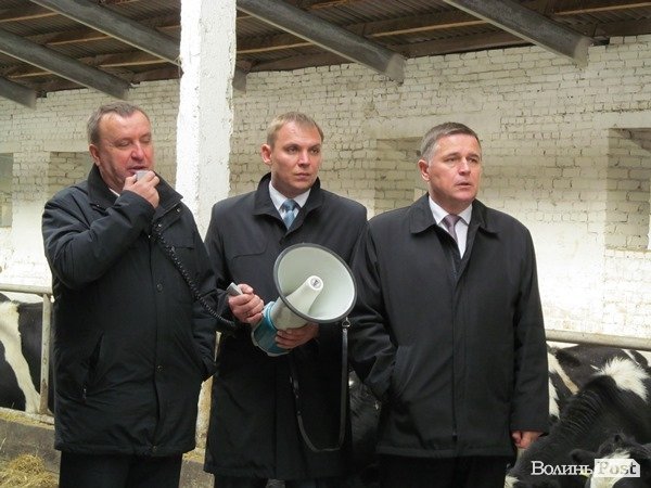 Де на Волині виробляють молоко для європейців. ФОТО