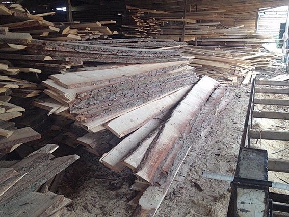 На Волині на приватних пилорамах вилучили деревини на півмільйона гривень. ФОТО