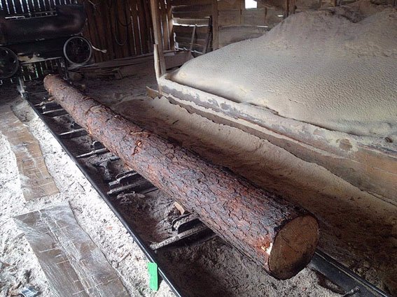 На Волині на приватних пилорамах вилучили деревини на півмільйона гривень. ФОТО