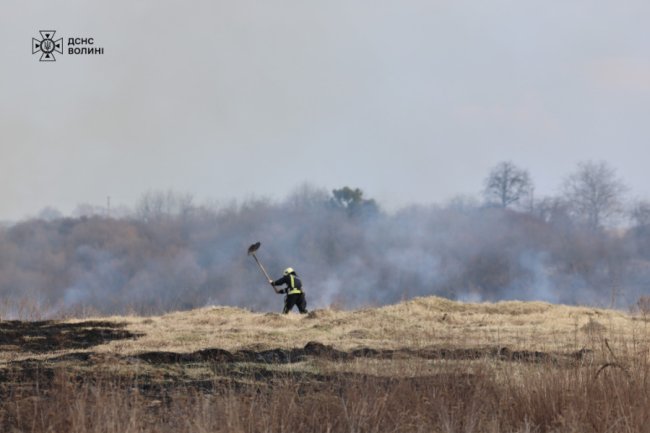 На Волині після підпалу сухої трави горіло 1,5 гектара берега, палійку спіймали. ФОТО