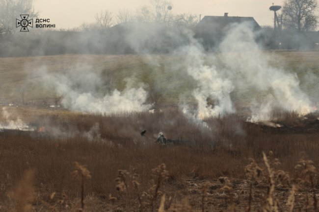 На Волині після підпалу сухої трави горіло 1,5 гектара берега, палійку спіймали. ФОТО