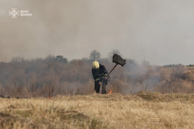 На Волині після підпалу сухої трави горіло 1,5 гектара берега, палійку спіймали. ФОТО