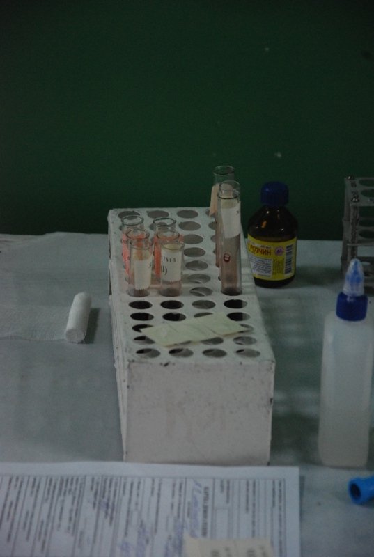 Луцькі семінаристи та священики здали кров майданівцям. ФОТО