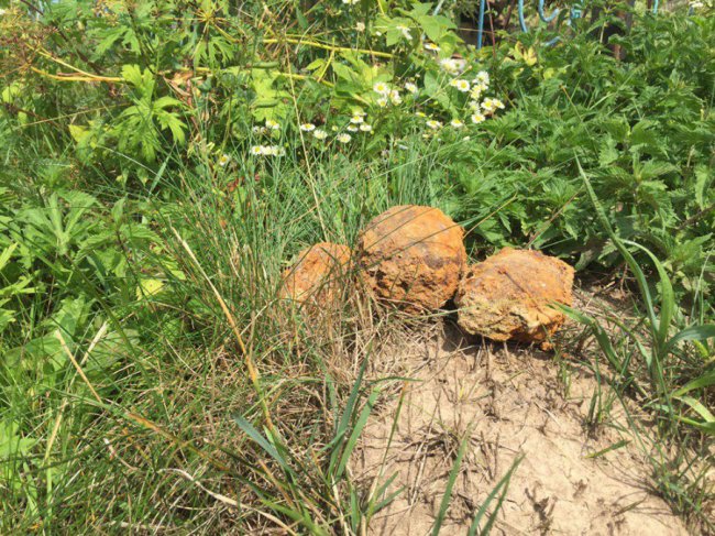 Волинські рятувальники знищили міни та гранати часів Другої світової війни