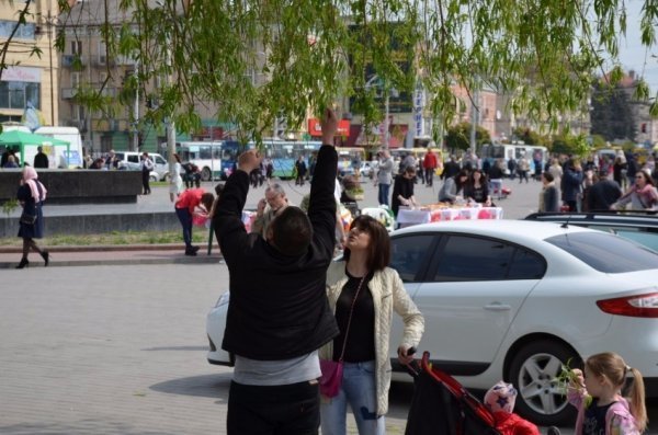 У Луцьку прихожани хотіли зекономити на вербі. ФОТО