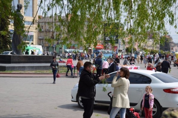 У Луцьку прихожани хотіли зекономити на вербі. ФОТО