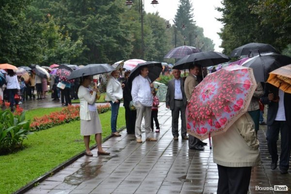 У Луцьку  - квіткова виставка до Дня Незалежності. ФОТО
