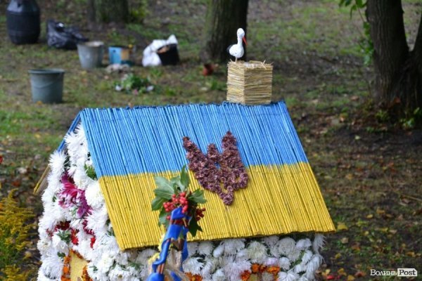 У Луцьку  - квіткова виставка до Дня Незалежності. ФОТО