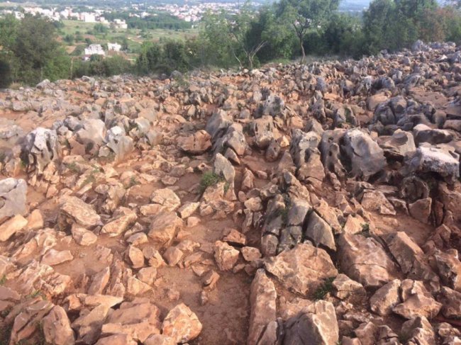 Луцькі бійці поїдуть на реабілітацію за кордон