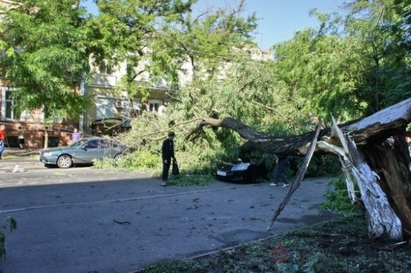 Одеса після урагану: повалені дерева та закриті пляжі. ФОТО