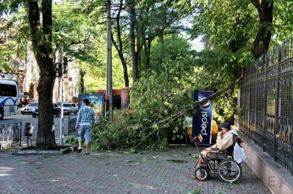 Одеса після урагану: повалені дерева та закриті пляжі. ФОТО