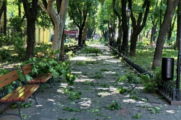 Одеса після урагану: повалені дерева та закриті пляжі. ФОТО