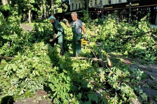 Одеса після урагану: повалені дерева та закриті пляжі. ФОТО