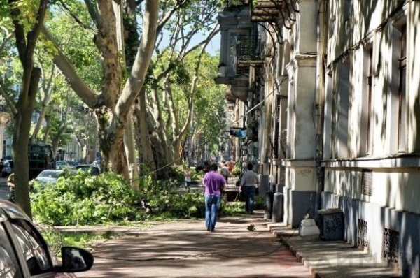 Одеса після урагану: повалені дерева та закриті пляжі. ФОТО