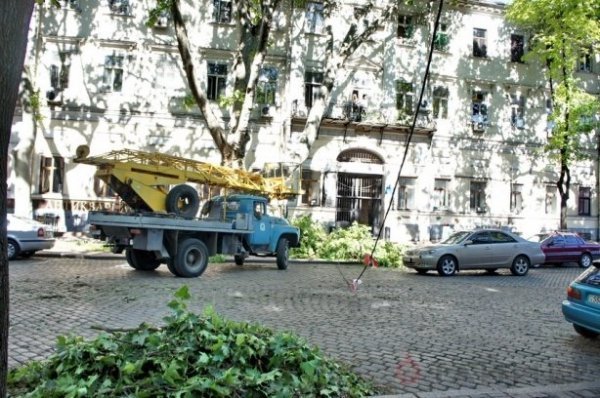 Одеса після урагану: повалені дерева та закриті пляжі. ФОТО