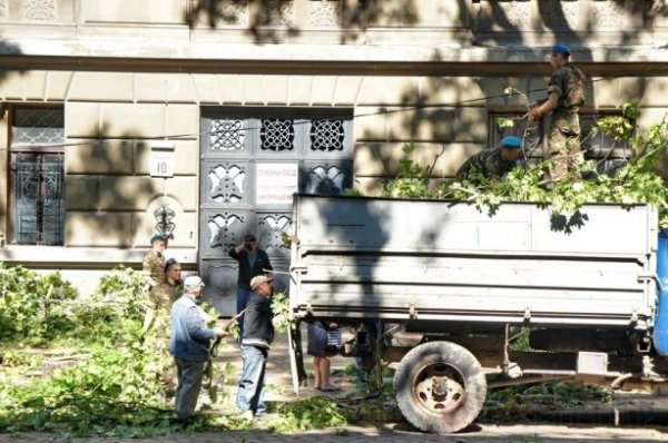 Одеса після урагану: повалені дерева та закриті пляжі. ФОТО
