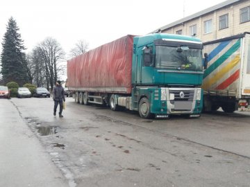 Затримали волинянина, який фурою незаконно перевозив ялинки