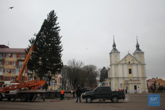 Як цьогоріч прикрасять головну ялинку у Володимирі