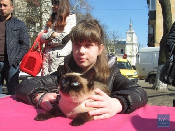 У Володимирі “Весняний  муркотун” зібрав гостей. ФОТО