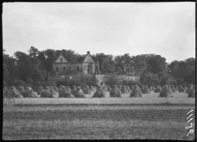 Містечко Любешів, 1929 р.