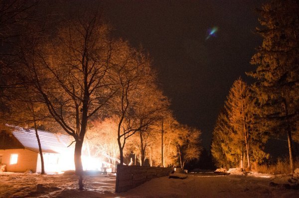 Як у казці: неймовірні фото «Цуманської пущі»