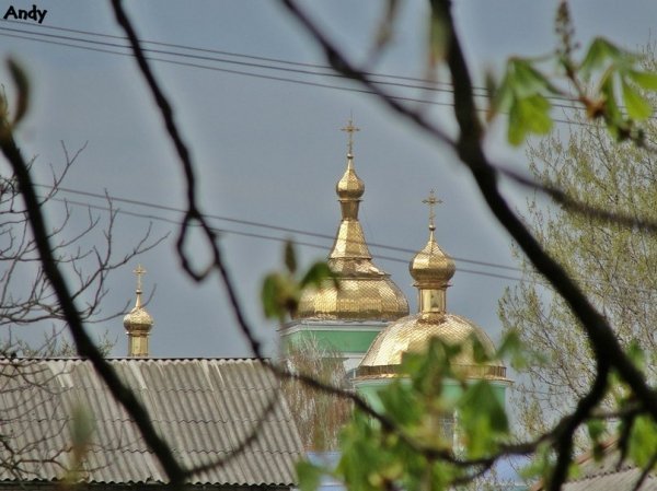 Фото «типового» Горохова