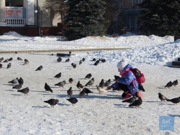 А за вікном майже весна: сонячний день у Нововолинську