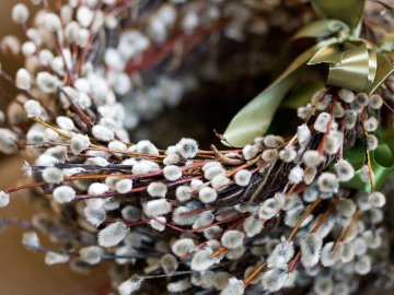 Що робити з минулорічною вербою: відповідь луцького священника