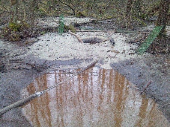 У Маневицьких лісах знову спіймали копачів бурштину