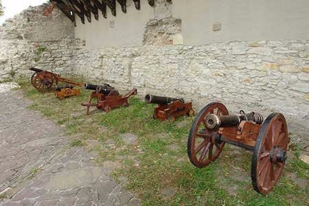 Луцькі козаки показали свою майстерність на фестивалі гармат. ФОТО