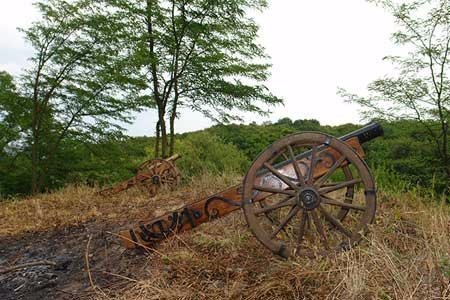 Луцькі козаки показали свою майстерність на фестивалі гармат. ФОТО