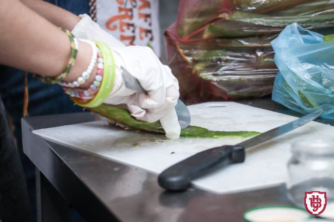 У волинському університеті виготовляють мазі для ЗСУ. ФОТО