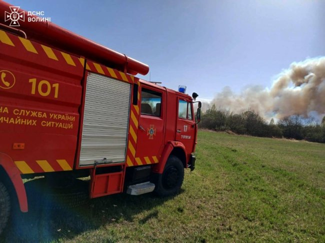 Пожежі на Волині: полум'я перекинулося із сухої трави на хата-пустку