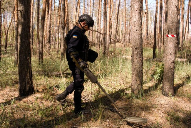 З’явилися фото, як волинські сапери розміновують Донеччину