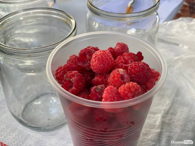 На луцькому ринку з'явилися перші лісові ягоди: почім продають