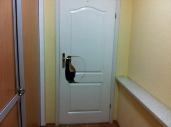 Фото розгромленого офісу