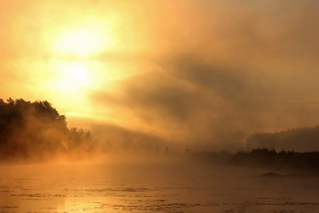 Показали світлини сходу сонця у волинському заказнику. ФОТО