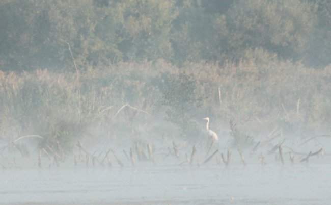 Показали світлини сходу сонця у волинському заказнику. ФОТО