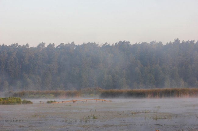 Показали світлини сходу сонця у волинському заказнику. ФОТО