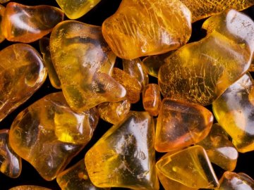 На Волині у дохід держави передали бурштину на мільйон гривень