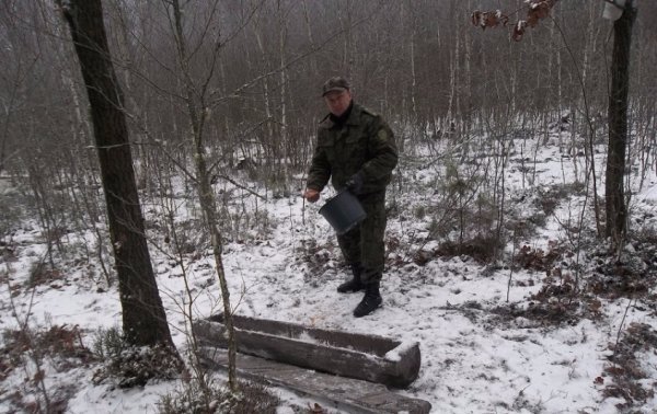 На Волині в лісгоспі встановили відеокамери:  що цікавого дізнались 