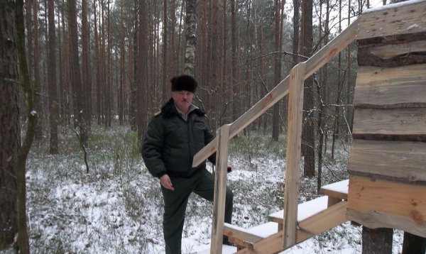 На Волині в лісгоспі встановили відеокамери:  що цікавого дізнались 