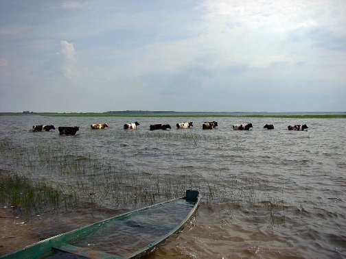 Фотовиставка Сергія Палька