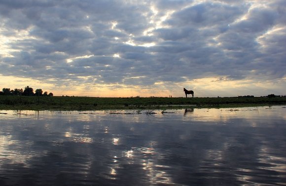 Відзеркалення