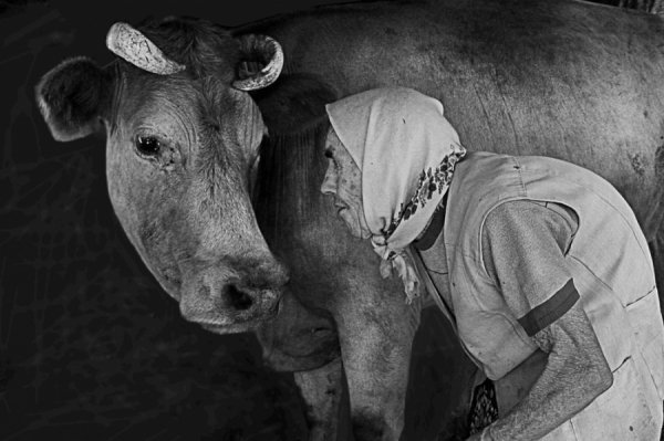 Знімки кращих фотографів України