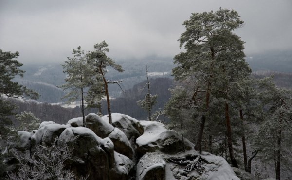 Знімки кращих фотографів України