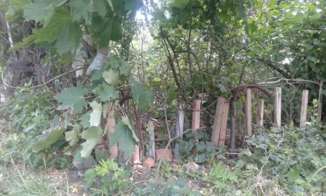 Муніципали зносять паркани та обмежувачі руху у Луцьку. ФОТО