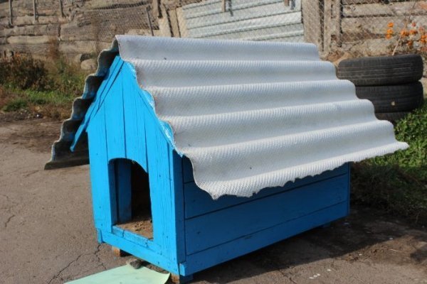 Луцькі діти власними руками змайстрували будки для собак . ФОТО